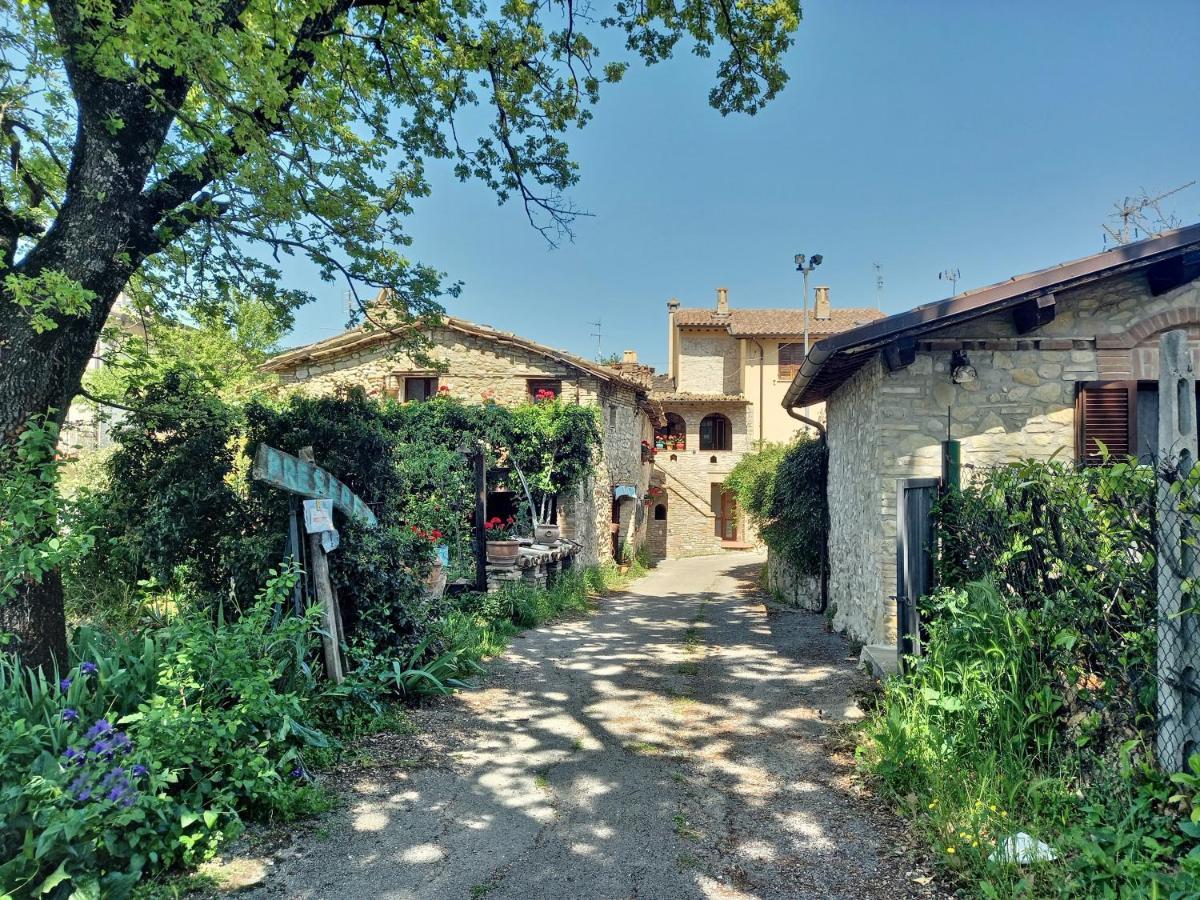 B&B Torrematta Assisi Exteriér fotografie